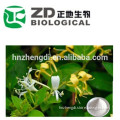 Chlorogenic acid extract 1%-98% in bulk Honeysuckle Flower Extract